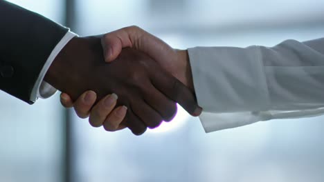 multi ethnic businesspeople shaking hands