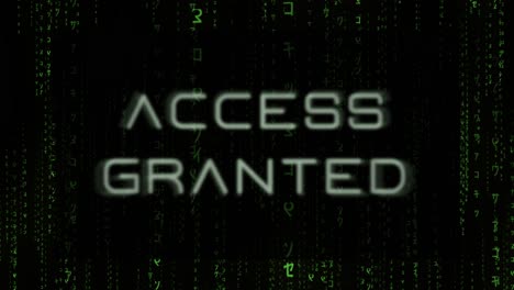 Access Granted - Matrix style Hacker Background