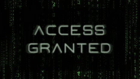 access granted - matrix style hacker background