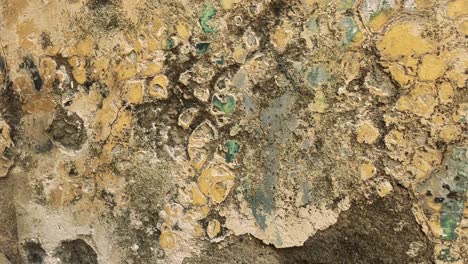 detailed view of a weathered stone wall