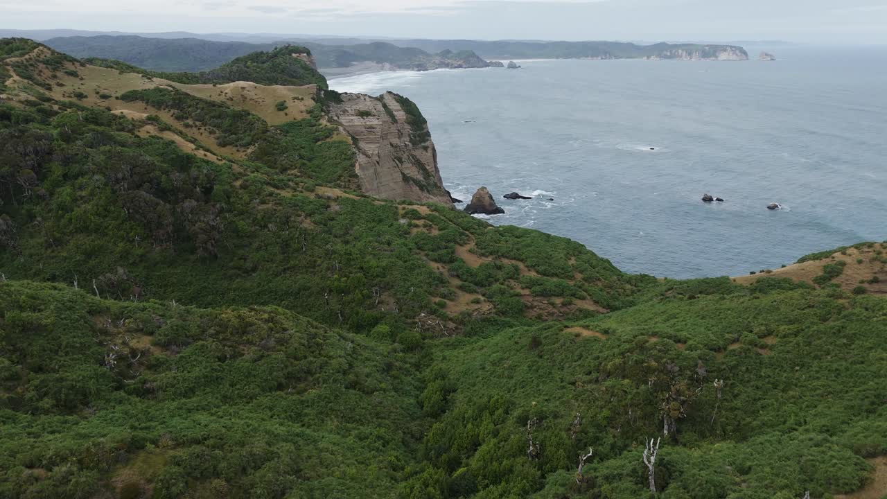Aerial view of Lush vegetation covers rolling hills leading to dramatic cliffs overlooking the Pacific Ocean near Chonchi, Chile, creating a stunning coastal landscape