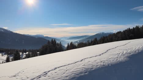 beatuiful italian alpes while wintertime with trees full of snows and an incredible sunset