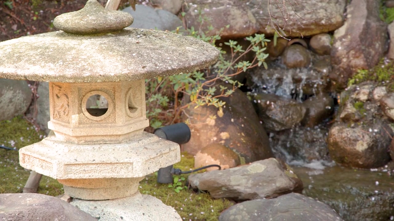 Un'inquadratura fissa cattura una lanterna toro in pietra accanto a uno stagno con cascata da giardino.