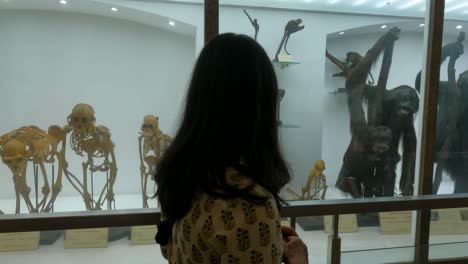 indian girl is walking by and observing the installations of the indian museum in kolkata city of west bengal