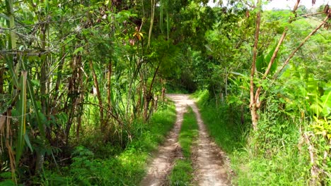 con cada momento que pasa, la belleza del paisaje natural de colombia se despliega en todo su esplendor, un testimonio de las maravillosas maravillas del mundo natural.