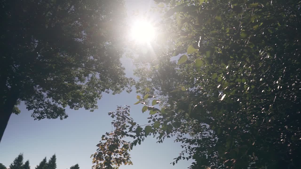 뉴햄프셔의 화이트 산맥에 있는 호수에서 나무 사이로 비치는 태양