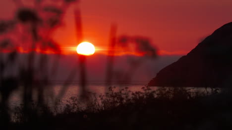 Puesta-De-Sol-En-La-Playa-Con-Arbustos-Enfrente