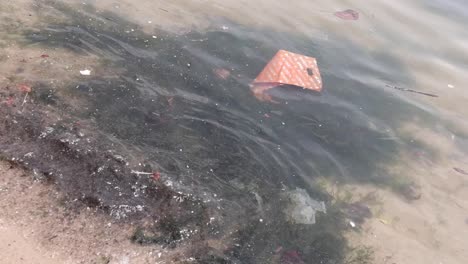 basura en el mar el agua flotando cerca de la orilla