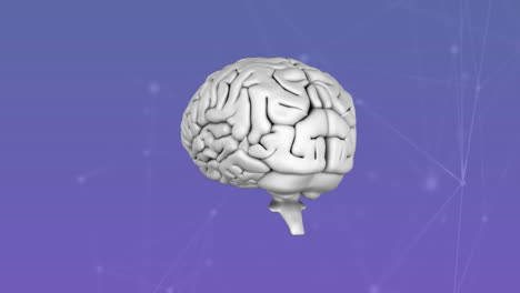 animación de conexiones sobre el cerebro humano