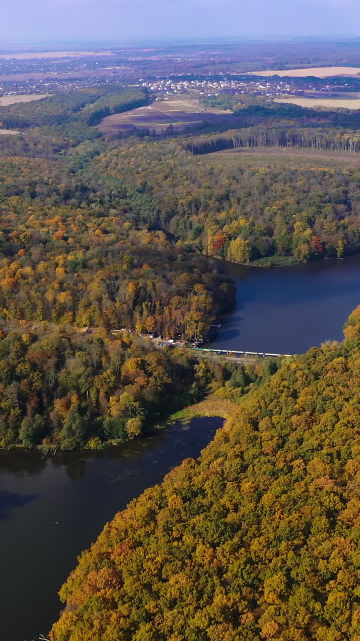 Forest autumn landscapes aerial view. Outdoor seasonal natural scenery. Vertical video