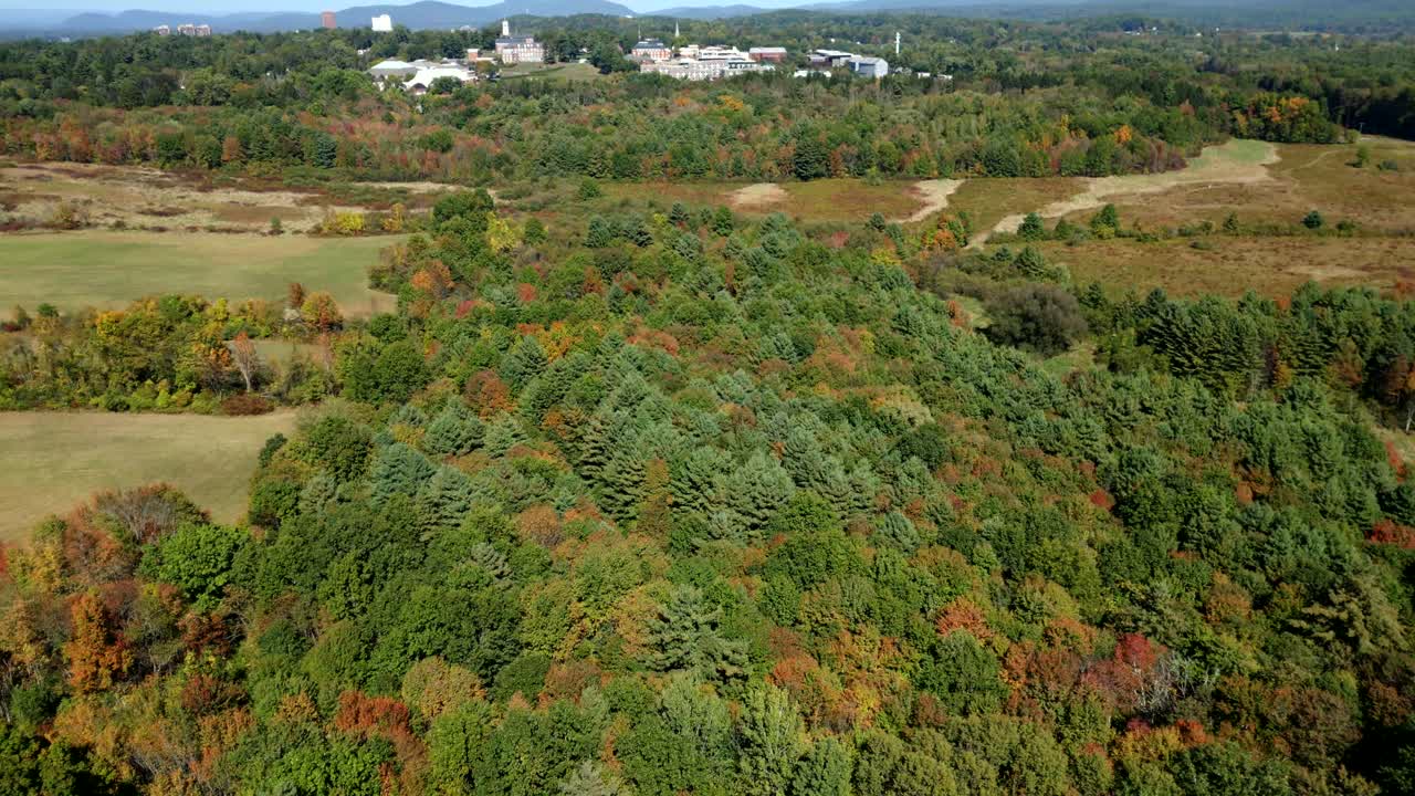 Aerial view of vibrant autumn forest near Amherst College