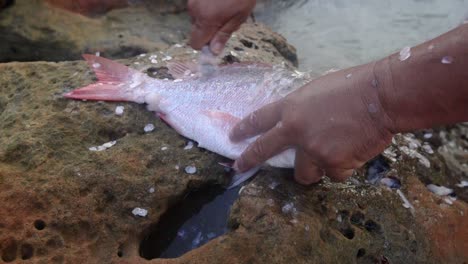 Manos-De-Un-Hombre-Quitando-Espinas-De-Pescado-Con-Un-Cuchillo-A-La-Orilla-Del-Mar