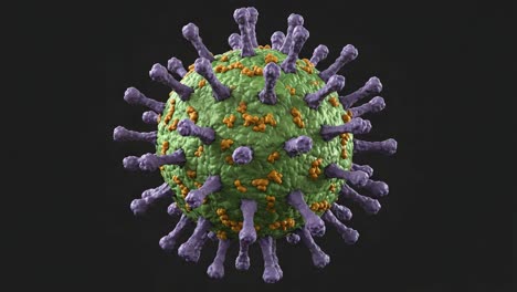 detailed visualization of a virus structure showcasing its unique morphology and surface features, highlighting protein spikes and genetic material within