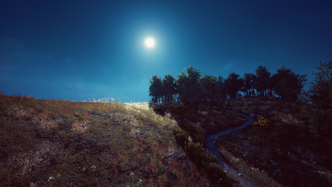 bosque de árboles en las montañas