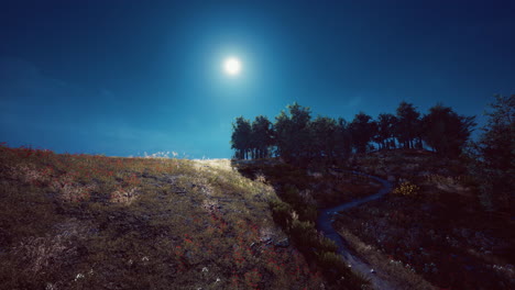 bosque de árboles en las montañas