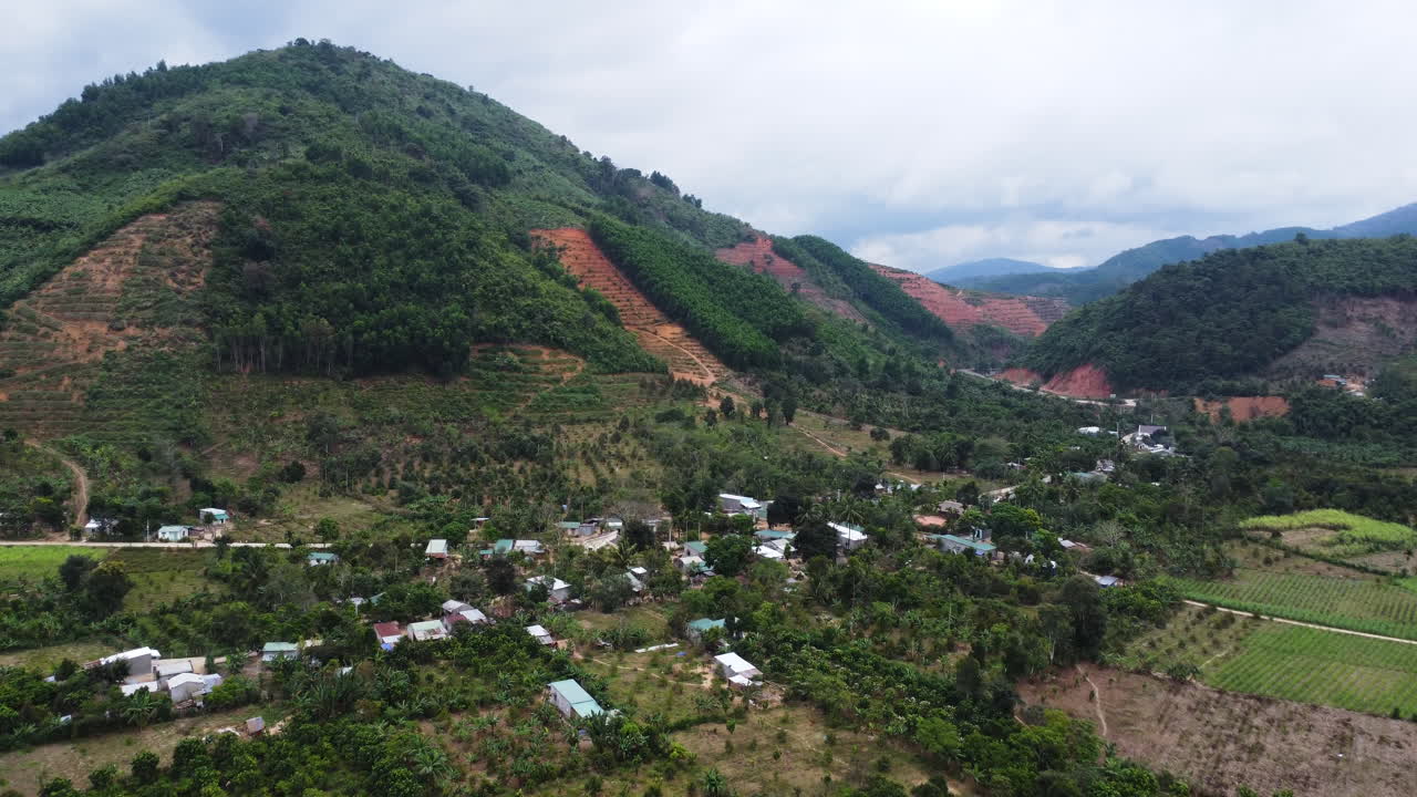 proceso de destrucción del bosque de colinas de vietnam
