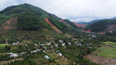 destruction process of vietnam hill forest