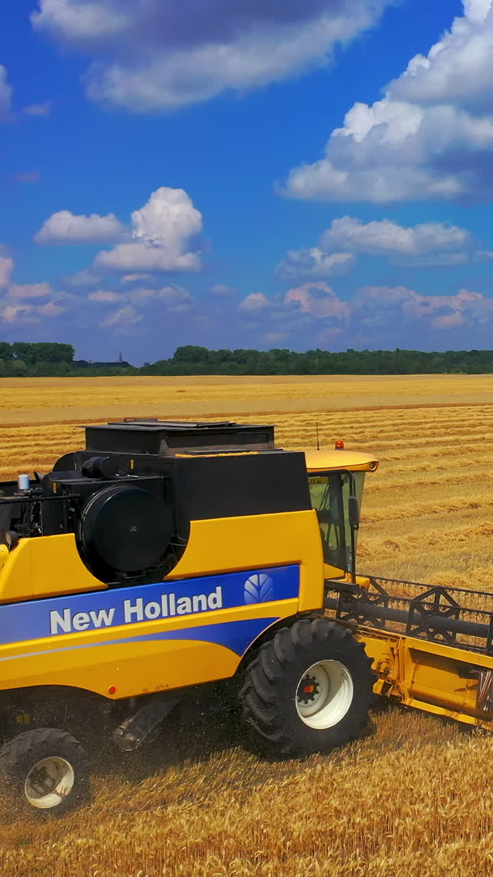 Harvesting in wheat field. Flying over harvester slowly riding through field cutting wheat stalks. Vertical video