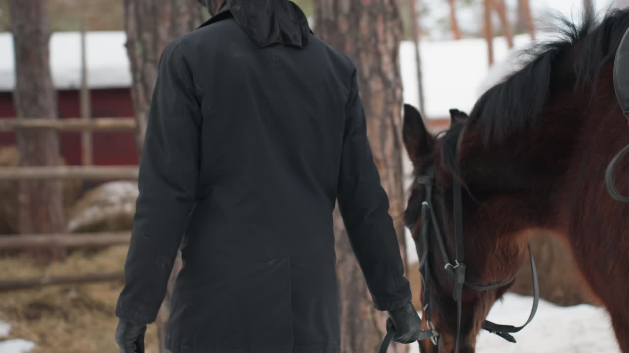 평화로운 분위기 속 주인과 말, 외양간 근처에서 말과 함께 걷는 주인이 있는 고요한 농장 환경, 주인과 말이 눈 덮인 마구간 옆에서 평화롭게 거닐고 있는 조용한 시골 풍경