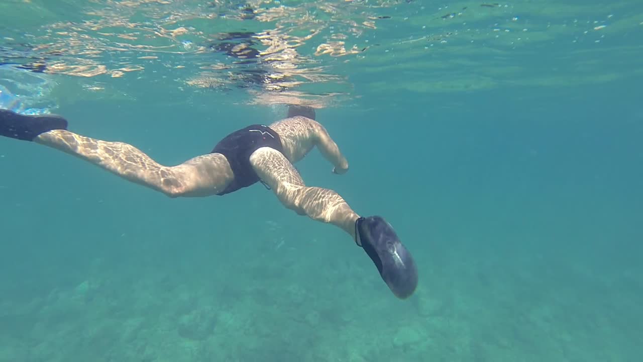 한 사람 이 지중해 에서 물고기 를  ⁇ 아다니며 다이빙 한다