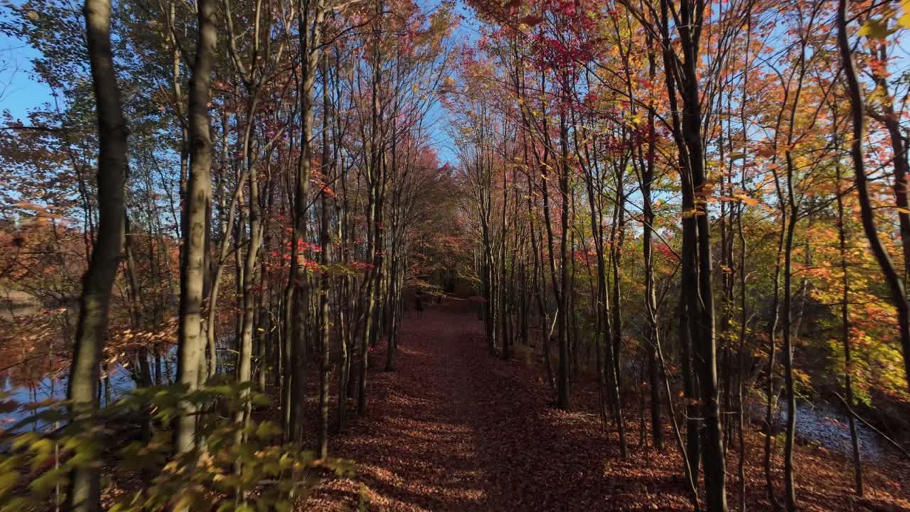 Autumn Forest In Sainte-Julie, Montreal, Quebec, Canada - Aerial FPV