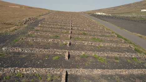 Aerial-view-of-volcano-road-graciosa-during-the-day