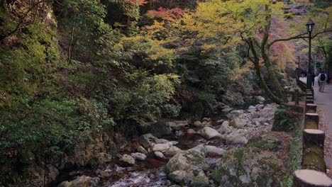 minoo river water flow in minoh national park osaka, japan