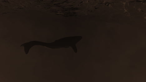 stormy ocean and underwater whale silhouette