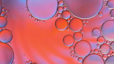 colorful artistic of oil drop floating on the water. abstract bubble backgrou