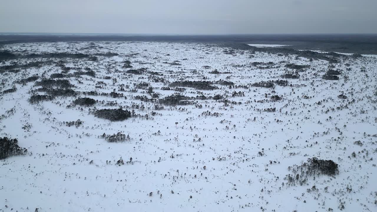 Talvimaisema ilmasta kuvattuna: Ylilento Valgeraban suon yllä lumisessa Virossa