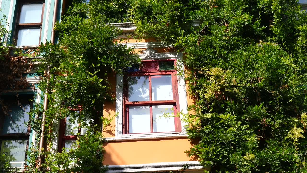 중앙에 창문이 있는 아이비로 인 건물