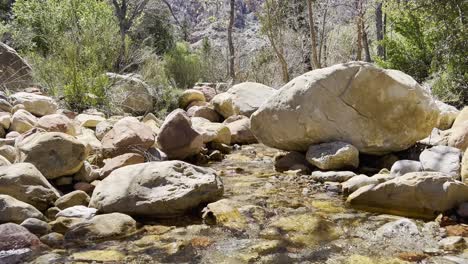 tiro de un arroyo corriente rodeado de rocas, árboles plantas del desierto