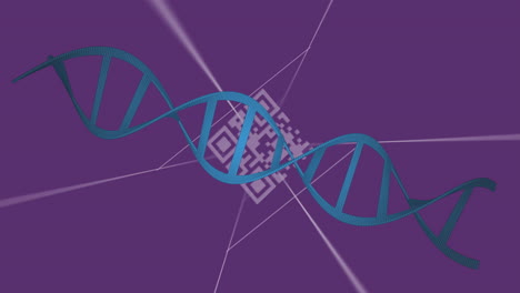 animación de la cadena de adn sobre el código qr en fondo púrpura