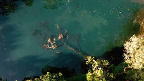 Toma-Aérea-De-Drones-De-La-Telaga-Biru-Oculta-En-El-Bosque-Cerca-De-La-Montaña-Gede-En-La-Isla-De-Java,-Indonesia