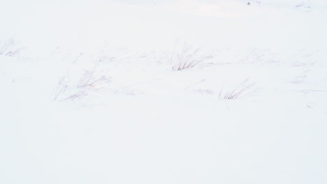 snowy abandoned hut in the middle of nowhere, mountain background