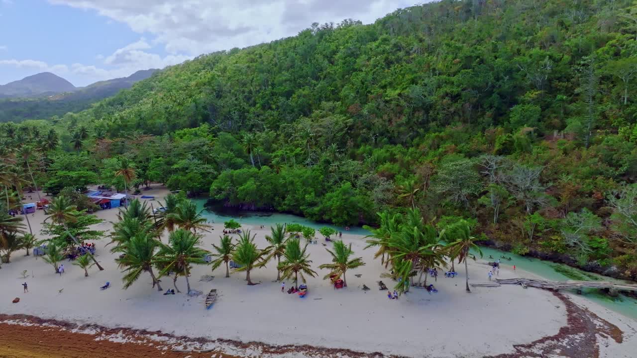 Drone view of white sand with coconut trees on Ca&ntilde;o Fr&iacute;o River In Las Galeras, Samana, Dominican Republic