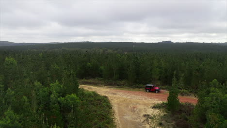 Antenne:-Drohne-Fliegt-über-Einen-Wald-Aus-Grünen-Bäumen,-Während-Sie-Einer-Unbefestigten-Straße-An-Einem-Bewölkten-Ort-In-Australien-Folgt