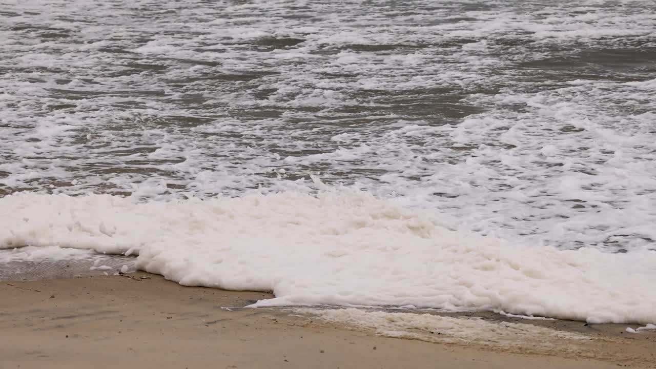 거품 모양의 파도가 부드럽게 모래 해변을 고, 리적이고 진정시키는 해안 풍경을 만니다.