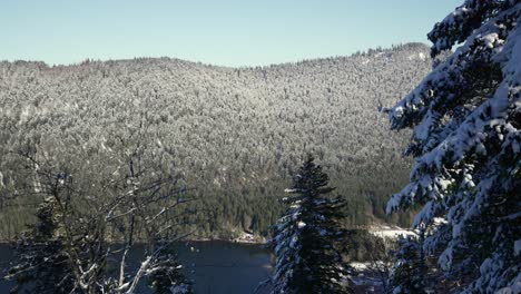 Scenic-wide-shot-of-the-Longemer-lake-with-snow-covered-pine-forest-mountains,-vosges,-france