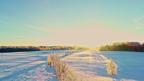 Sunrise-skyline-above-frozen-meadow-fields-snowed-land-trees-background-melted-path-of-rays-of-light,-panoramic-dry-branches,-aerial-drone-view