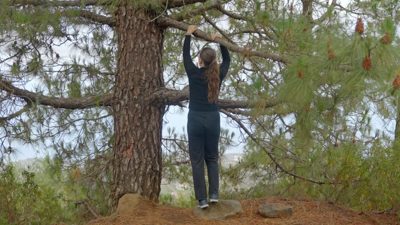 cámara lenta, chica tratando de escalar un gran pino en el bosque, norte de tenerife