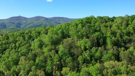 Cross-on-a-Hill-in-Olivers-Spring,-Tennessee