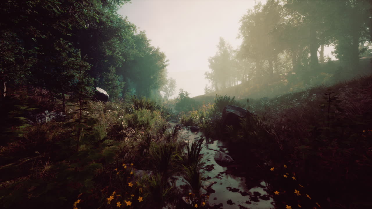 el arroyo del bosque brumoso