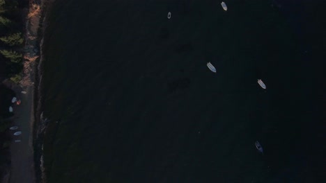 Coastal-town-with-cottages-on-the-shore-and-green-hills-aerial