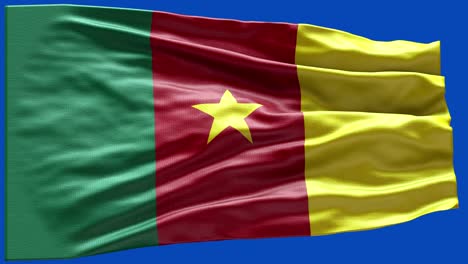 4k highly detailed flag of cameroon - cameroon flag high detail - national flag cameroon wave pattern loopable elements