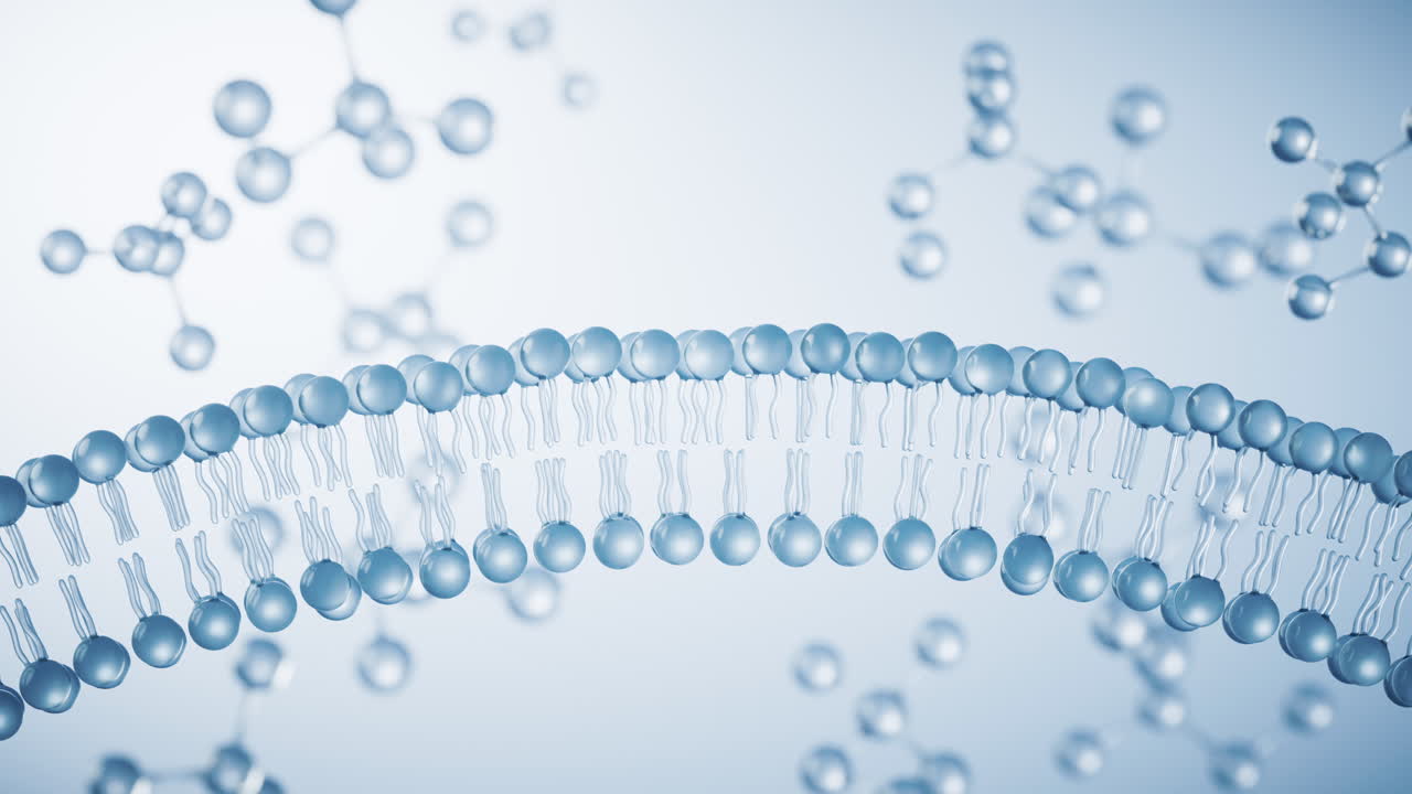 estructura de la citomembrana transparente, representación en 3d.