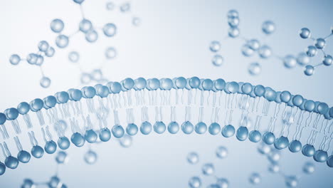 transparent cytomembrane structure, 3d rendering.