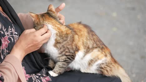 una mujer acaricia a un gato rojo.