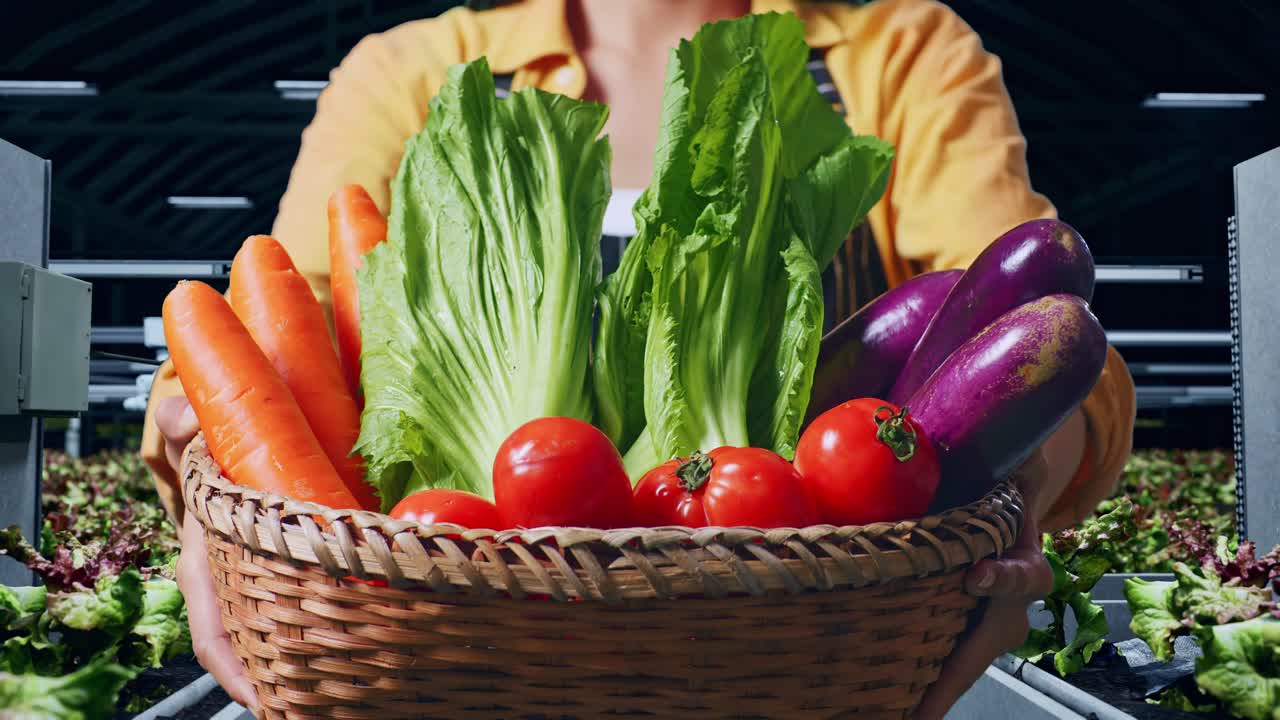 수확 농장 에서 신선 한 채소 바구니 를 들고 있는 여자