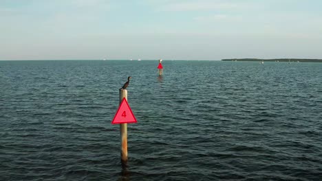 A-cormorant-perches-on-a-channel-marker-post,-surrounded-by-gently-rippling-water